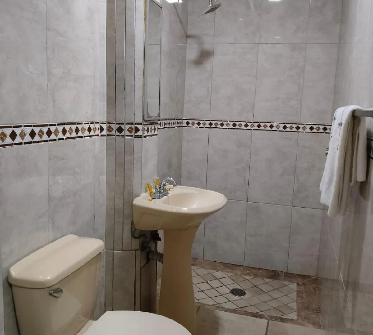 Hotel Astur (Adults Only) Guadalajara