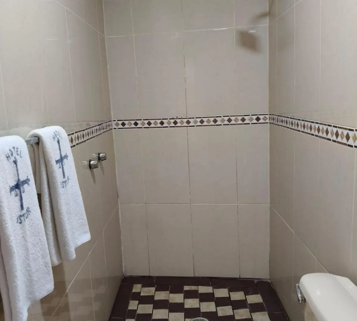 Hotel Astur (Adults Only) Guadalajara